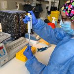 España se aproxima a las 2 millones de pruebas PCR realizadas y supera el millón de test rápidos