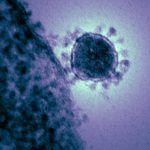 GUÍA / ¿Qué es y cómo se puede evitar el coronavirus?