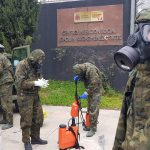 El Ejército continúa desinfectando Palma