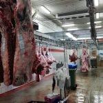 Los ganaderos denuncian que el cierre del matadero de Palma será un "golpe mortal" para el sector