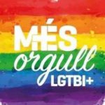 MÉS per Mallorca hace un llamamiento a participar en los actos y manifestaciones virtuales del Día del Orgullo