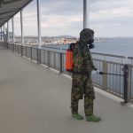 El Ejército desinfecta el puerto de Palma