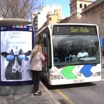 La EMT de Palma aumentará las frecuencias de los autobuses desde el martes
