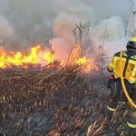 Medi Ambient estima que el fuego de s'Albufera ha quemado unas 438 hectáreas