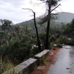 La tormenta complica la circulación por carreteras de la Serra de Tramuntana