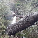 Dos tramos de la Ma-1100 y de la M-10 en la Serra de Tramuntana permanecen cortadas