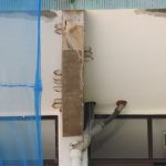 El GOB alerta de la destrucción de nidos de 'cabot' en las obras del colegio Lluís Vives de Palma