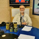 Andreu Oliver (Oliva de Mallorca): "No se pueden hacer aceitunas DOP si el olivo no es centenario"