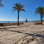 Alcúdia ya trabaja para renovar la certificación de playas seguras a principio de abril de 2021