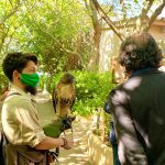 Éxito de participación en el Día del Águila organizado por la Fundació Natura Parc