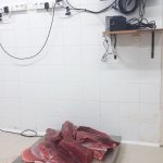 Decomisan más de 32 kilos de atún rojo en un barco de pesca recreativa en Formentor