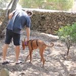 Campaña de limpieza de excrementos de perros del Ajuntament de Sant Lluís