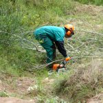 Endesa invierte 145.000€ en desbrozar la masa forestal cercana a las líneas eléctricas de Eivissa y Formentera