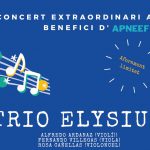 Formentera acoge un concierto extraordinario a beneficio de Apneef