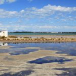 Formentera se promocionará como isla sostenible en la World Travel Market