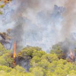 La Guardia Civil investiga las causas del incendio forestal de Sant Antoni (Ibiza)