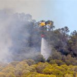 Controlado el incendio de Sant Antoni con 5'7 hectáreas quemadas de pino