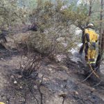 Extinguido un incendio en Andratx que ha afectado a 0,2 hectáreas de pinar