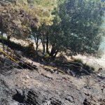 Extinguido el incendio forestal en el Gorg Blau tras quemar 0,02 hectáreas de carrizo