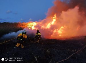 incendio s'albufera