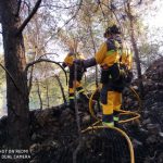 Un total de 474,54 hectáreas quemadas hasta el 15 de noviembre en Baleares