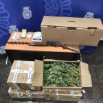 Hallan cerca de 600 plantas de marihuana en Palma y detienen al hombre que las custodiaba