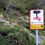 Mallorca, en riesgo extremo o muy alto de incendio forestal