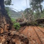 El Tren de Sóller suspende su servicio por los "graves y cuantiosos" daños del temporal