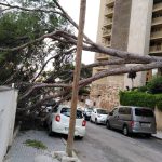 El viento provoca decenas de incidentes y deja malherido a un hombre por caída de ramas de árboles