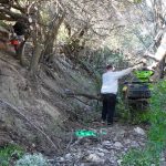 Marratxí limpia 600 metros del torrente de Coanegra para mejorar la circulación del agua y evitar tapones