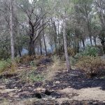 La Guardia Civil desaloja a 75 personas por un incendio en Camí de Son Moll