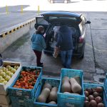 Fundación Barceló repartirá más de 283.000 kilos de alimentos a entidades sociales de Mallorca