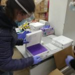 La tercera remesa de las vacunas de Pfizer, con 4.875 dosis, ya está en Palma