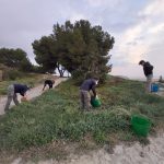 El Ajuntament a través de EMSA prepara la temporada de verano en la playa de Alcúdia