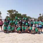 El Ajuntament d'Alcúdia inicia la campaña de retirada de grama del litoral
