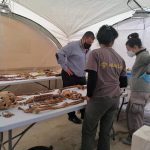 Aranzadi entrega al Govern los restos de las 65 víctimas exhumadas en Porreres