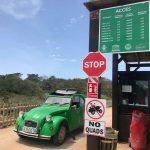 Arranca el periodo de regulación de vehículos en los accesos a Illetes y el Cap de Barbaria de Formentera