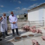 El Consell de Mallorca realza la economía local con visitas a empresas y productores de la isla