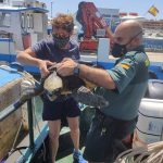 Guardia Civil rescata una tortuga enferma en aguas del sur de Mallorca