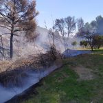 Extinguido el incendio en Torrent de s'Aigua tras calcinar 1,7 hectáreas de cañizo