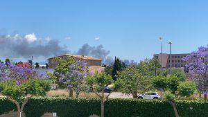 Incendio Camí Salard, Palma