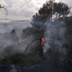 Los 33 incendios forestales de este año ya han quemado más de 80 hectáreas en Baleares