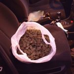 Detenido un hombre al transportar más de 600 gramos de marihuana en Palma