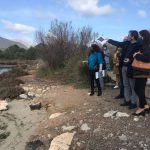 El Ajuntament de Pollença apuesta por "el turismo diferencial" para ser "pioneros en la reactivación turística"