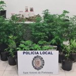 Dos detenidos en Sant Antoni al ser sorprendidos con una plantación de marihuana en el interior de su casa