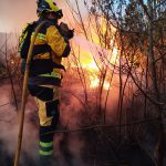 Extinguido un incendio forestal en Sa Pobla tras quemar dos hectáreas de cañizo
