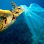 El Mediterráneo es un basurero: 3.760 toneladas de plásticos flotan en sus aguas
