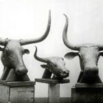 El Govern reclama al Museo Arqueológico Nacional la devolución de los Bous de Costitx