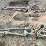 Aparecen dos esqueletos en el Castell de Bellver