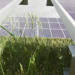 Iberdrola se consolida como el mayor promotor de energía solar en el mercado británico